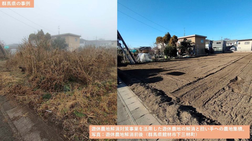 群馬県の事例