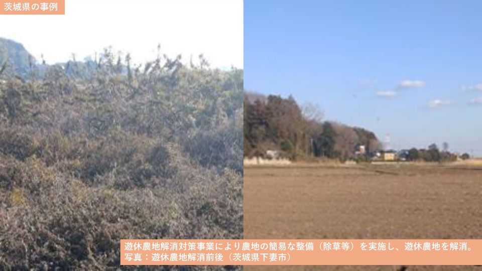 茨城県の事例
