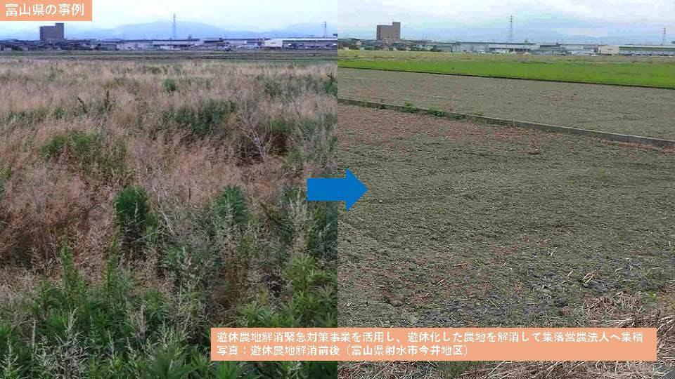 富山県の事例
