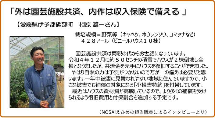 外は園芸施設共済、内作は収入保険で備える 愛媛県砥部町 相原雄一さん