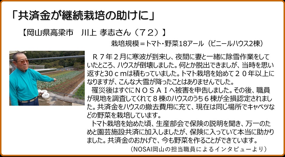 共済金が継続栽培の助けに　岡山県高梁市　川上孝志さん