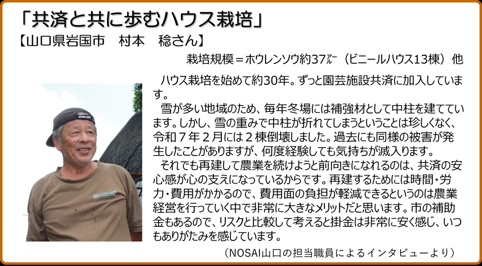 共済と共に歩むハウス栽培　山口県岩国市　村本稔さん