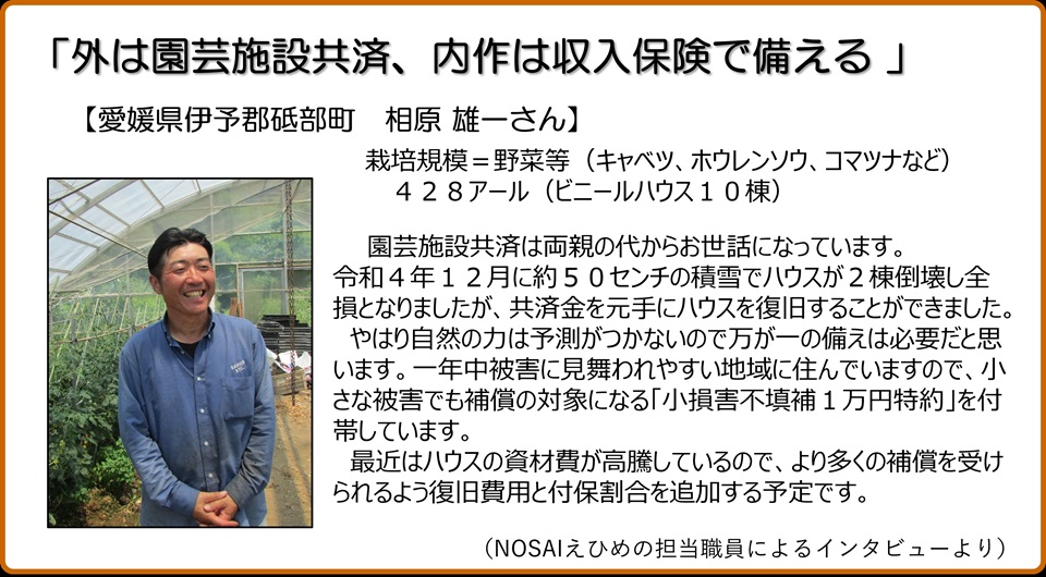 外は園芸施設共済、内作は収入保険で備える　愛媛県伊予郡砥部町　相原雄一さん　