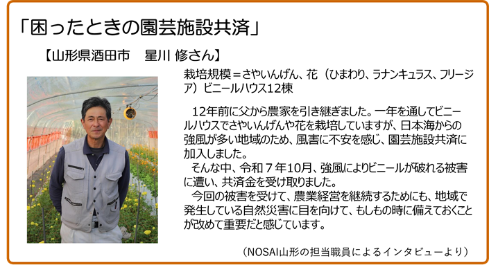 困ったときの園芸施設共済 山形県酒田市 星川修さん