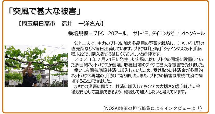 突風で甚大な被害 埼玉県日高市 福井一洋さん