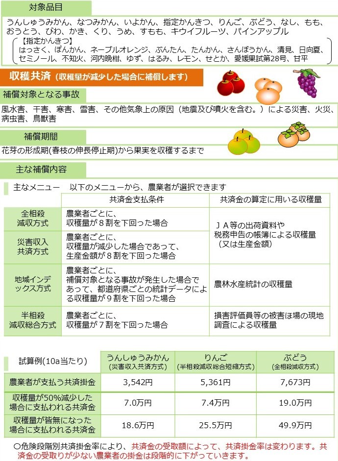 202504_果樹収穫