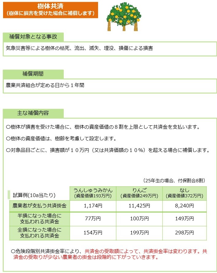 202504_果樹樹体