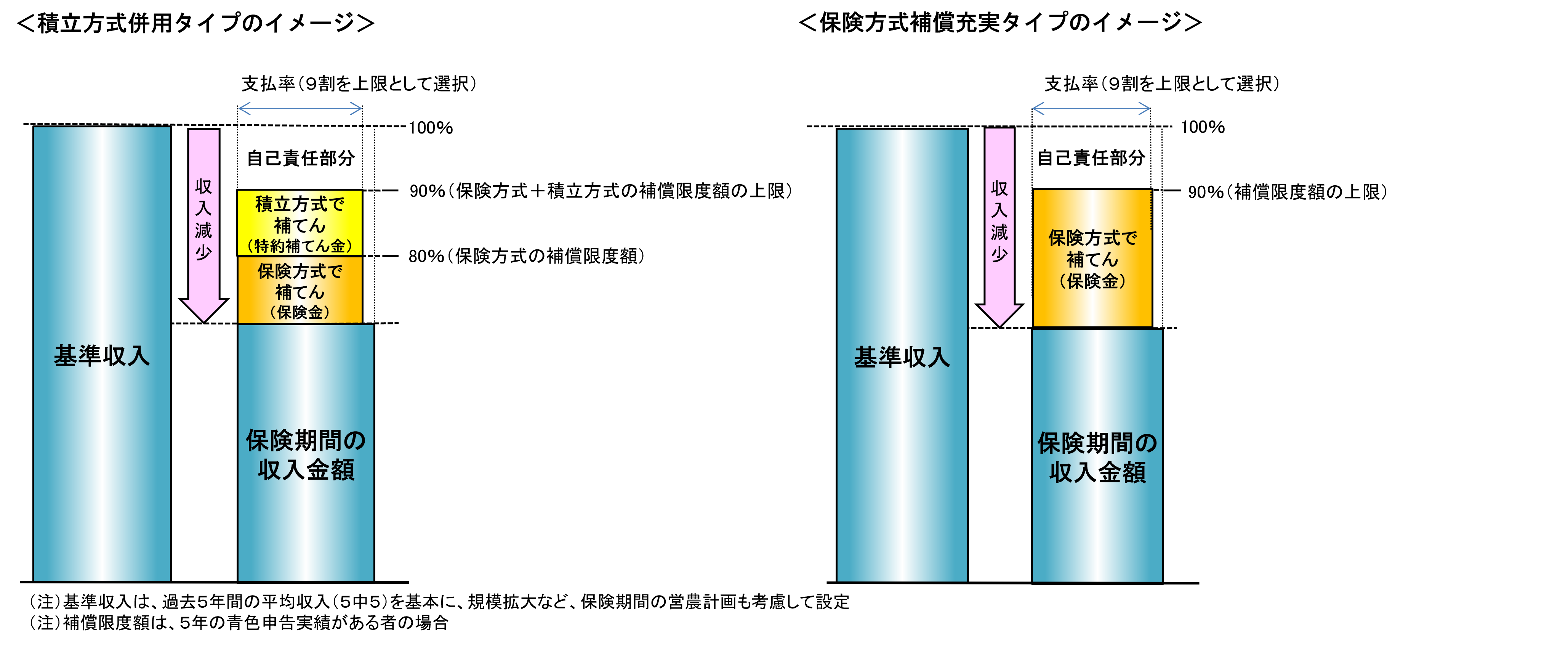 積立方式併用タイプ+保険方式補償充実タイプのイメージ図