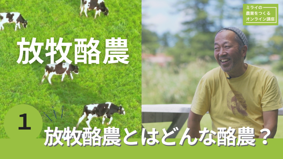 放牧酪農1動画