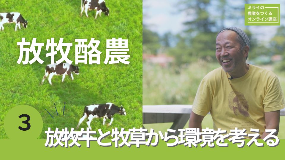 放牧酪農3動画