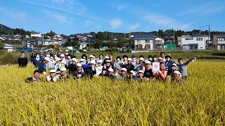 稲刈り