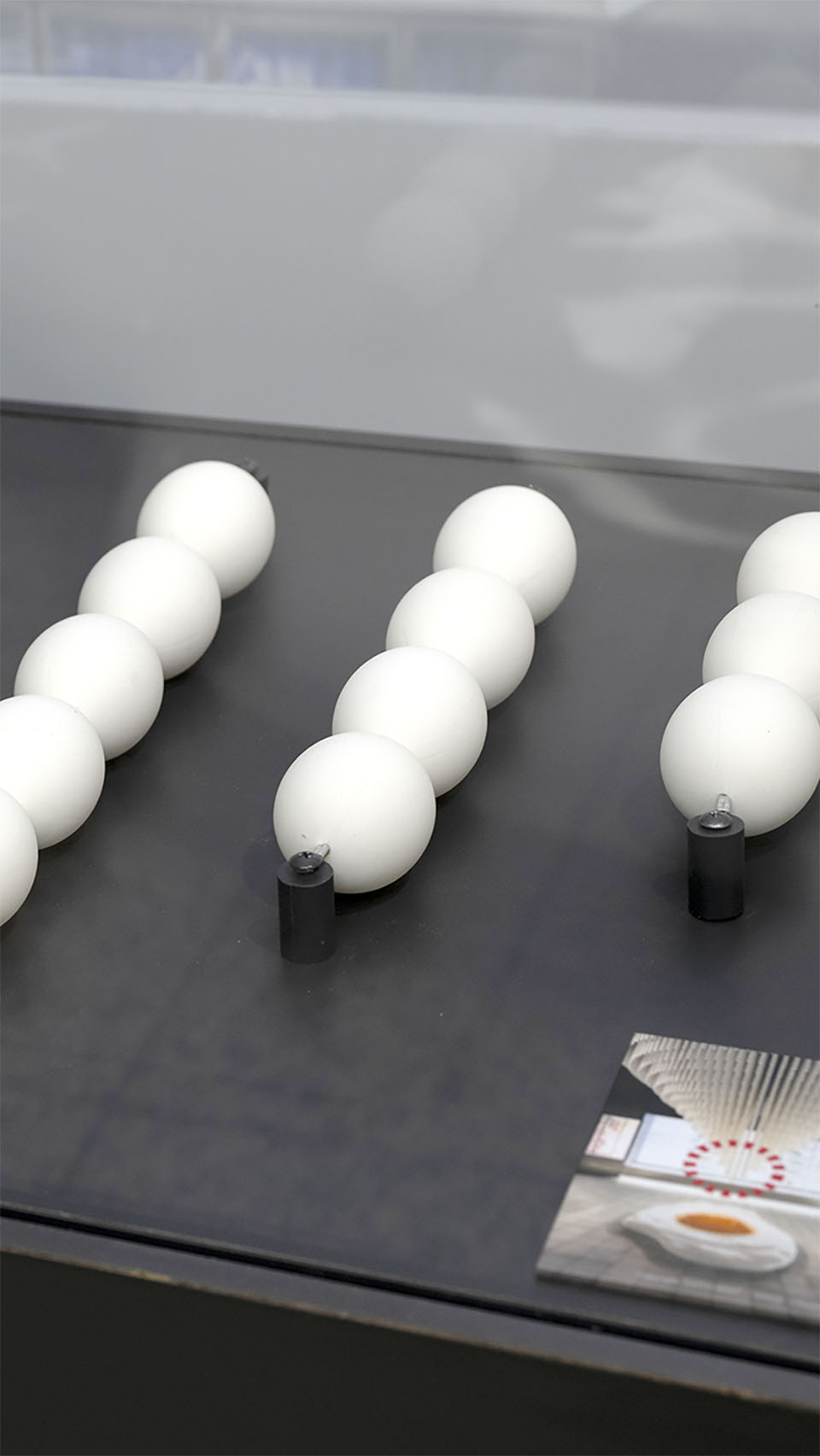 日本人が一生でたべる卵(卵の殻)の展示