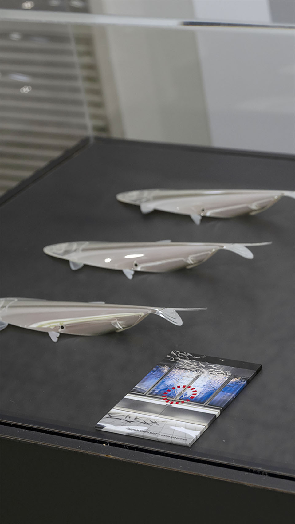 多くのいのちを支えるイワシの展示