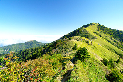 山