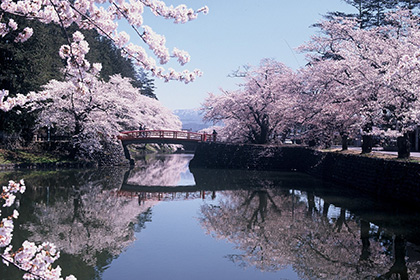 松ヶ岬公園
