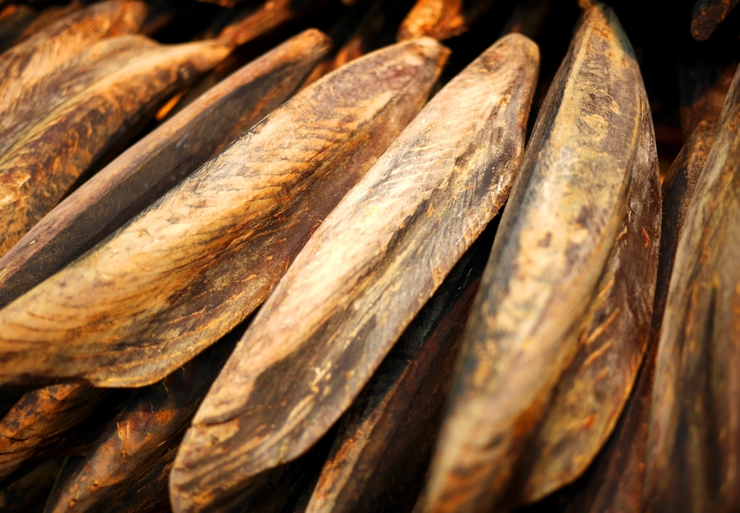 Bushi (dried fish fillets)