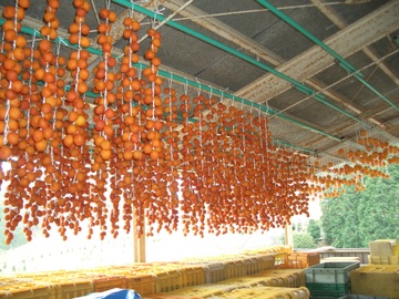 Dried Persimmons