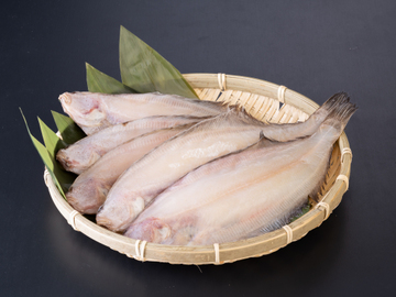 Wakasa Dried Flounder
