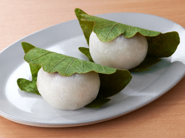 Kashiwa Mochi