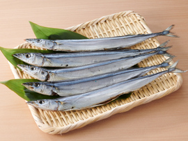さんまの丸干し
