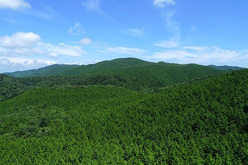 山の風景