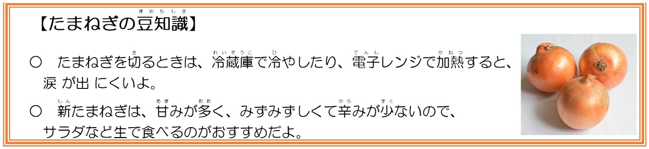 たまねぎの豆知識
