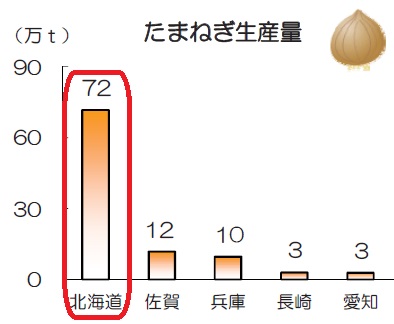たまねぎの生産地の全国順位