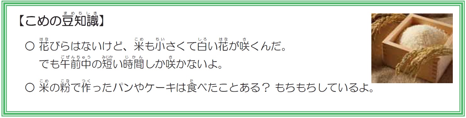 米の豆知識