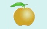 なし