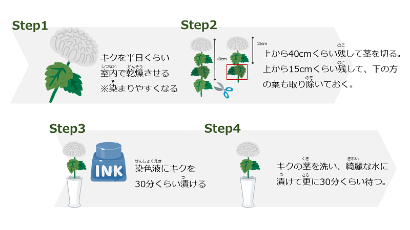 実験のやり方