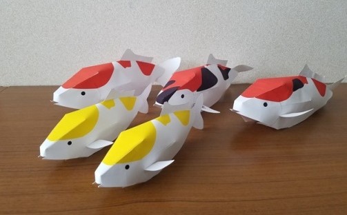 にしき鯉