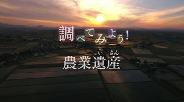 子供向け動画