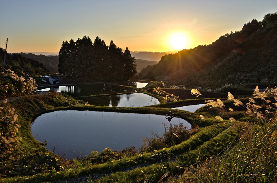新潟県中越地域