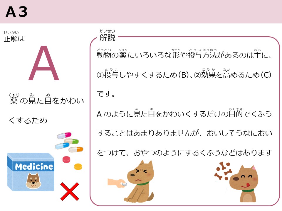 06_A3.JPG