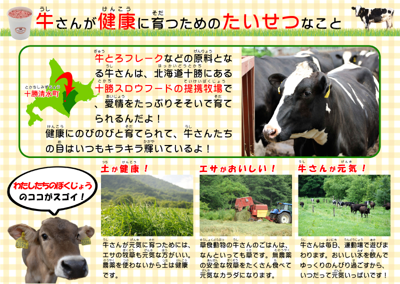 牛とろフレーク01