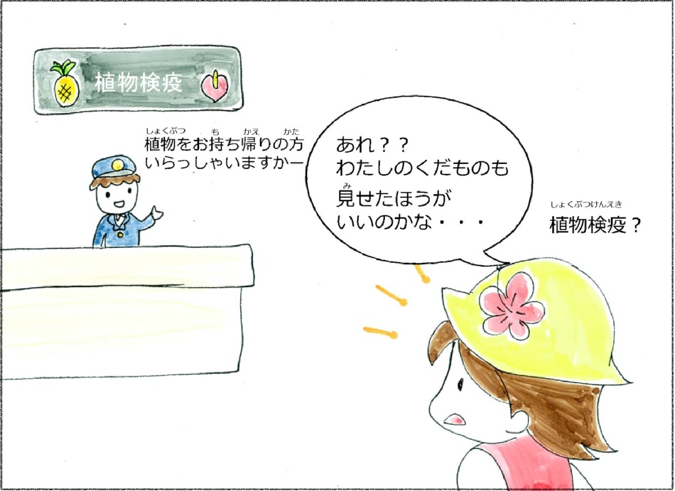syokubouimport2.jpg