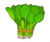 ほうれん草