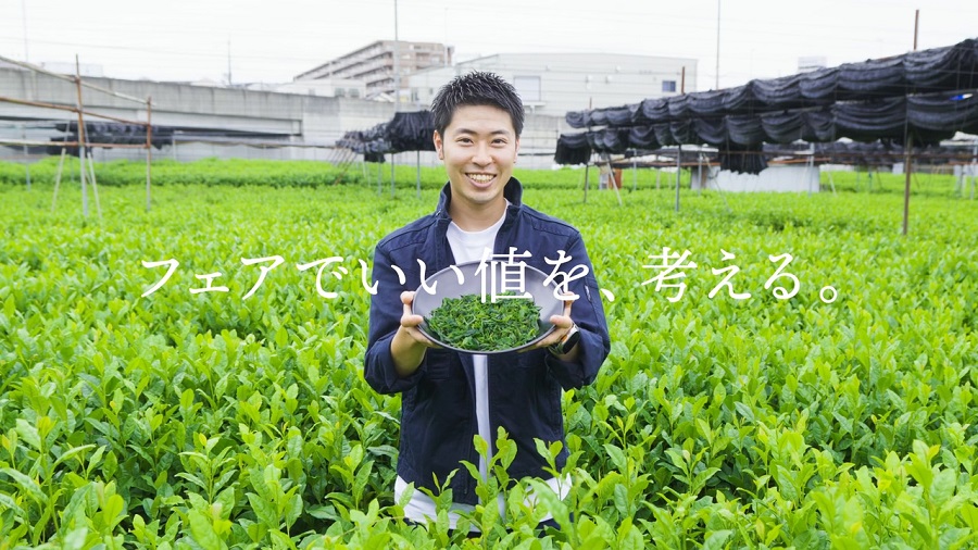 生産者インタビュー（お茶）