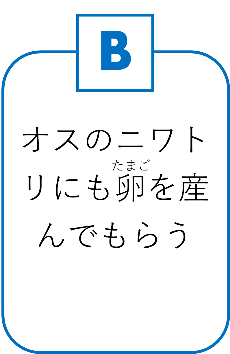 B