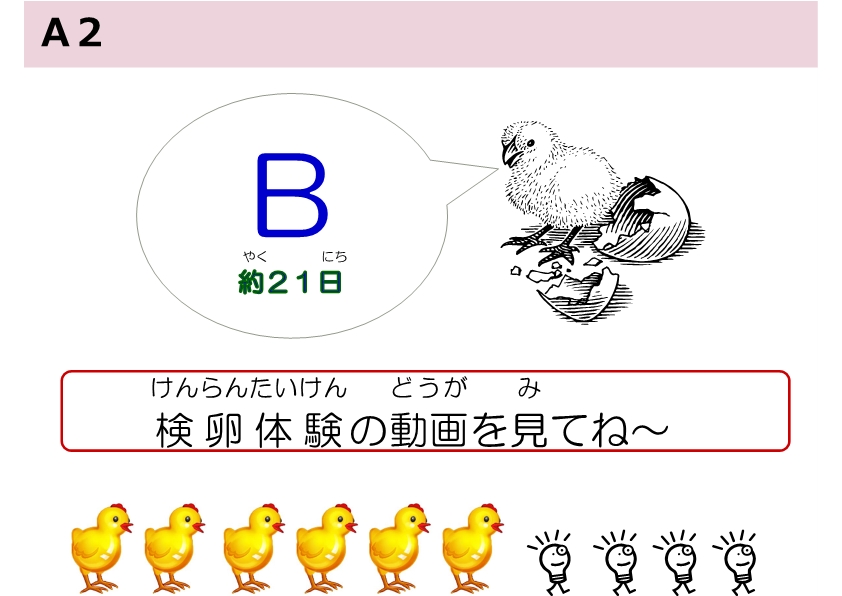 04_A2.jpg