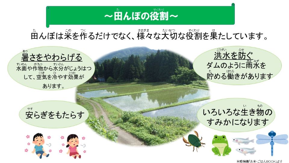田んぼは米を作るだけでなく、様々な大切な役割を果たしています。①暑さを和らげる。水面や作物から水分が蒸発し、空気を冷やす効果がある。②洪水を防ぐ：ダムのように雨水を貯める働きがある。③安らぎをもたらす：④いろんな生き物の住処になります。