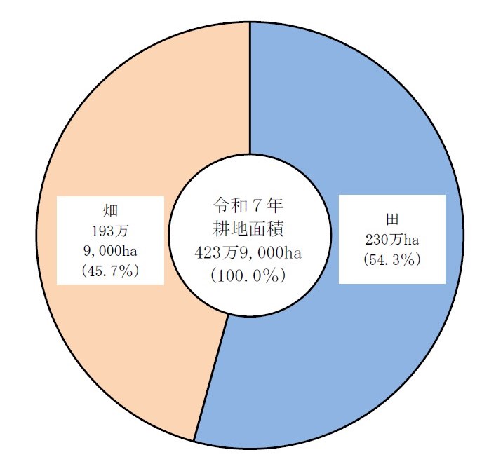 令和7年における日本の耕地面積の内訳を示す円グラフ。耕地面積の合計は423万9,000haで、田（水田）と畑の2区分で構成される。右側の青色部分が田で230万ha（54.3%）、左側のオレンジ色部分が畑で193万9,000ha（45.7%）となっており、田が耕地面積の過半数を占めている。