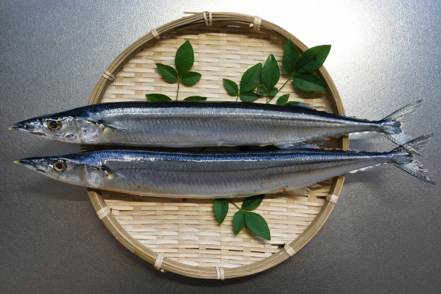サンマ