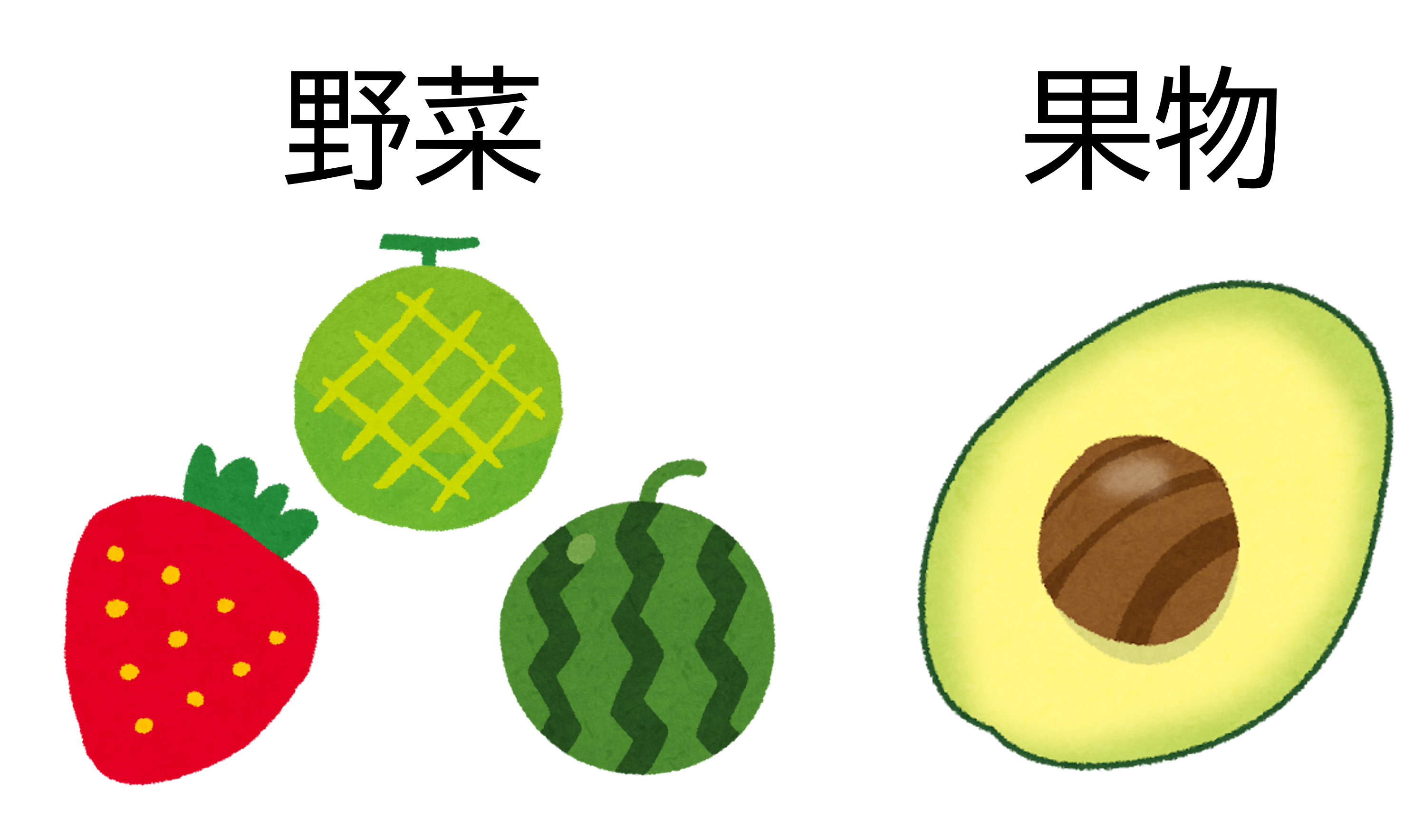 イチゴ、メロン、スイカは野菜、アボカドは果物