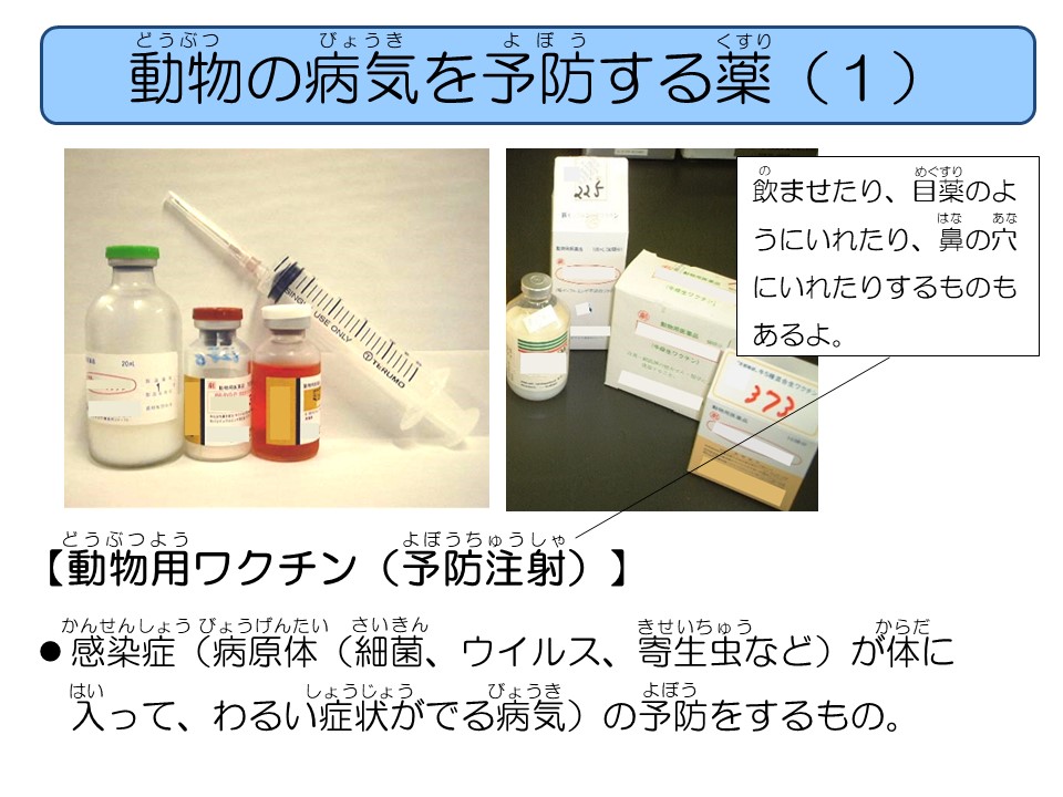 動物用医薬品について学ぼう！(4)：農林水産省