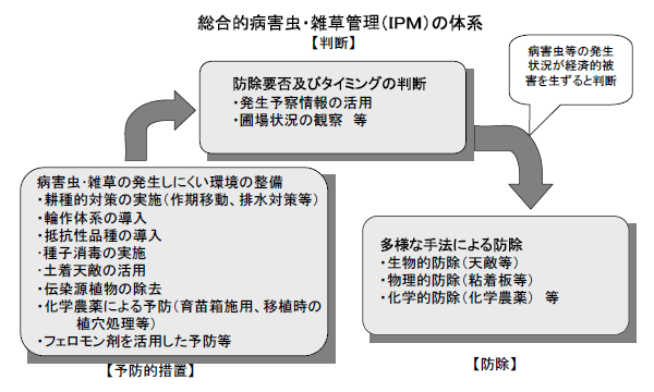 総合的病害虫・雑草管理（IPM）の体系