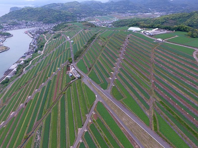 長崎県バナー画像