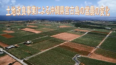 沖縄県バナー画像