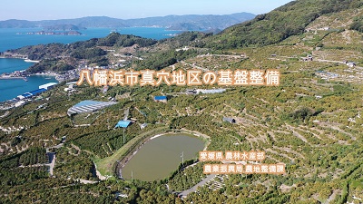 愛媛県