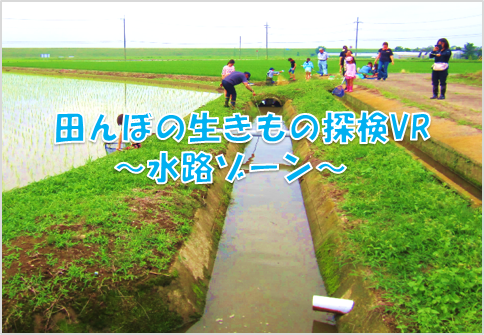 田んぼの生きもの探検VR水路ゾーン
